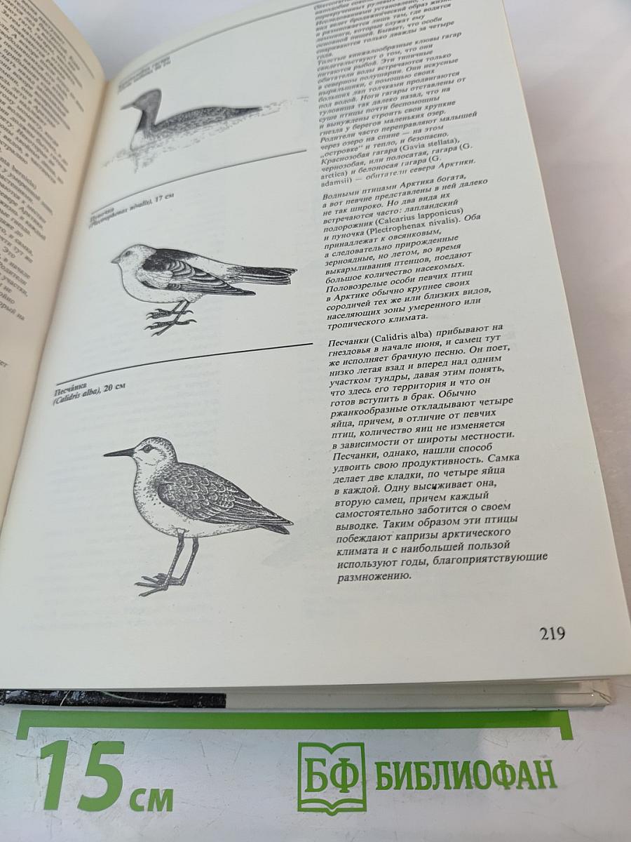 Живой мир полярных районов