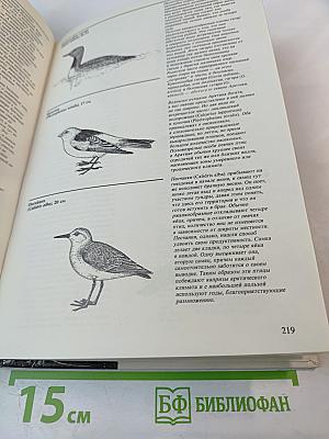 Живой мир полярных районов