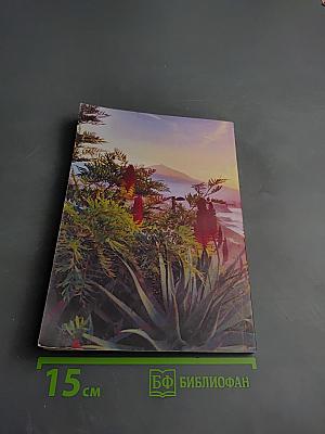 Как попасть в рай и все потерять