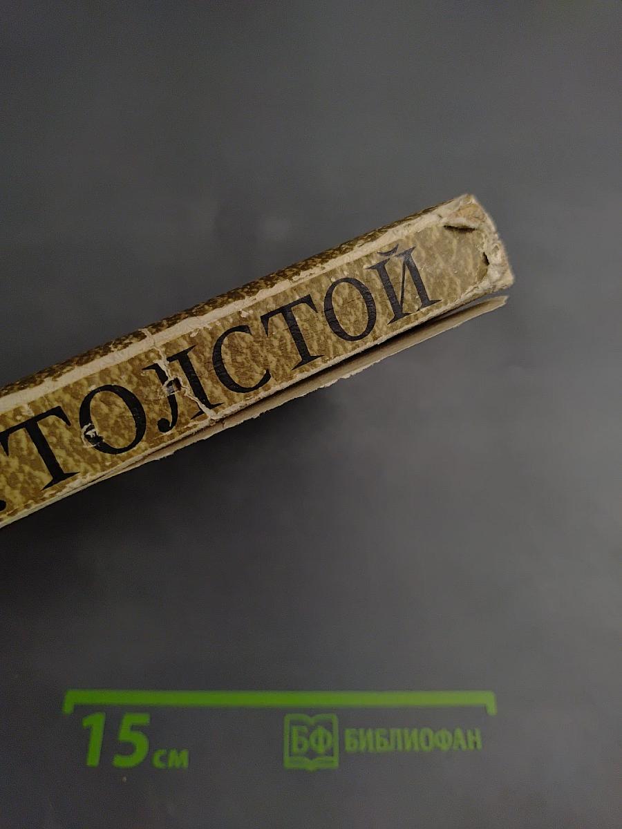 Война и мир. Том 7