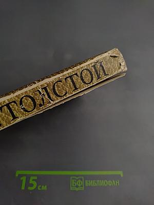 Война и мир. Том 7