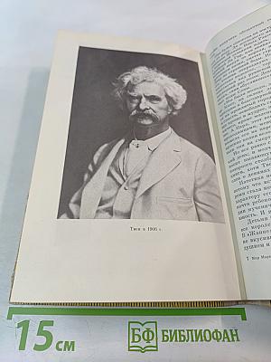 Мир Марка Твена