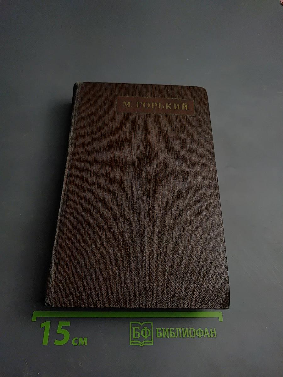 Полное собрание сочинений. Том четвертый: Фома Гордеев. Рассказы, очерки, наброски, стихи