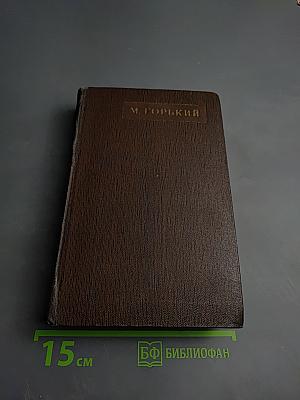 Полное собрание сочинений. Том четвертый: Фома Гордеев. Рассказы, очерки, наброски, стихи