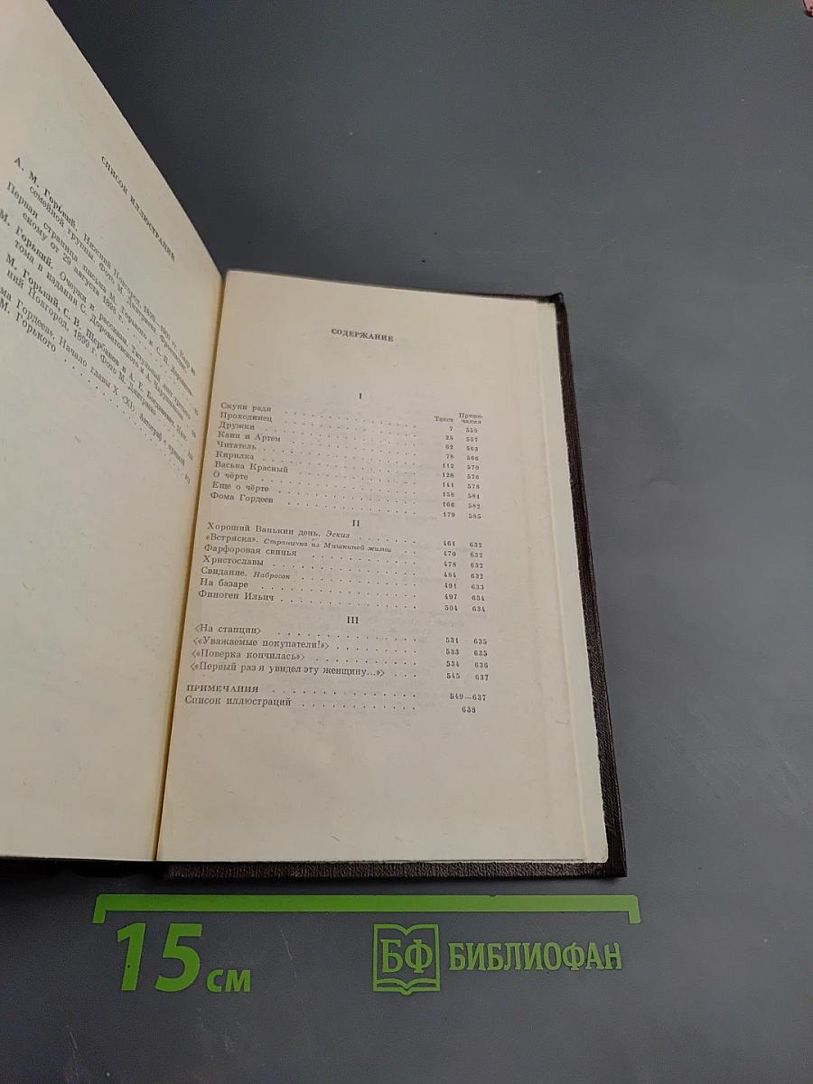 Полное собрание сочинений. Том четвертый: Фома Гордеев. Рассказы, очерки, наброски, стихи