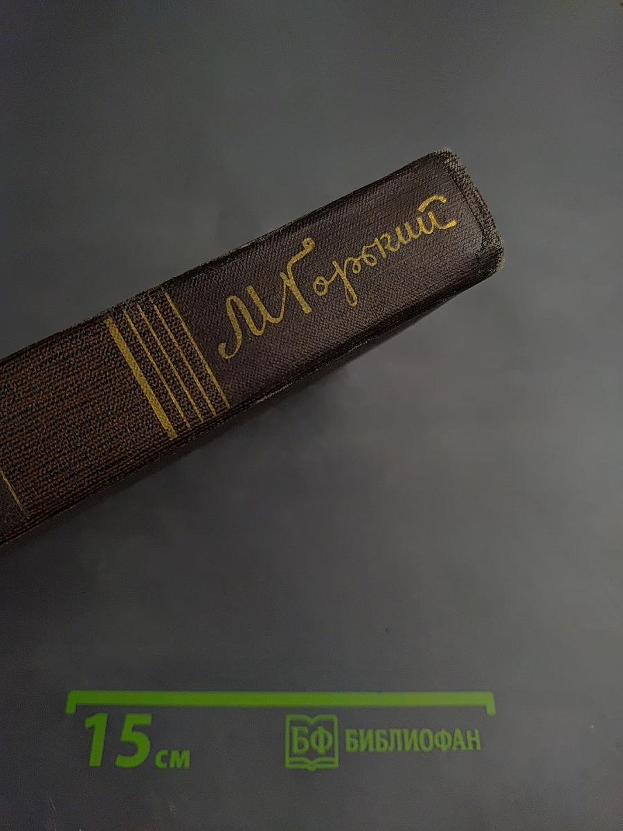 Полное собрание сочинений. Том четвертый: Фома Гордеев. Рассказы, очерки, наброски, стихи