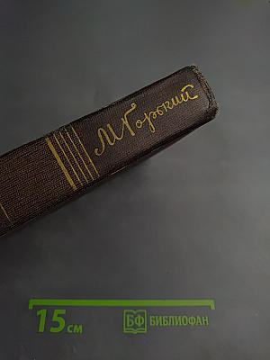 Полное собрание сочинений. Том четвертый: Фома Гордеев. Рассказы, очерки, наброски, стихи