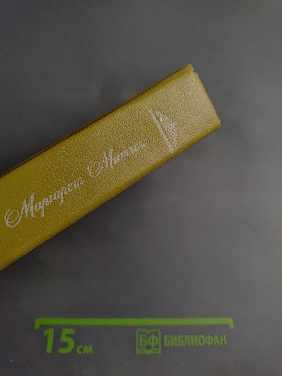 Унесенные ветром. Том 1