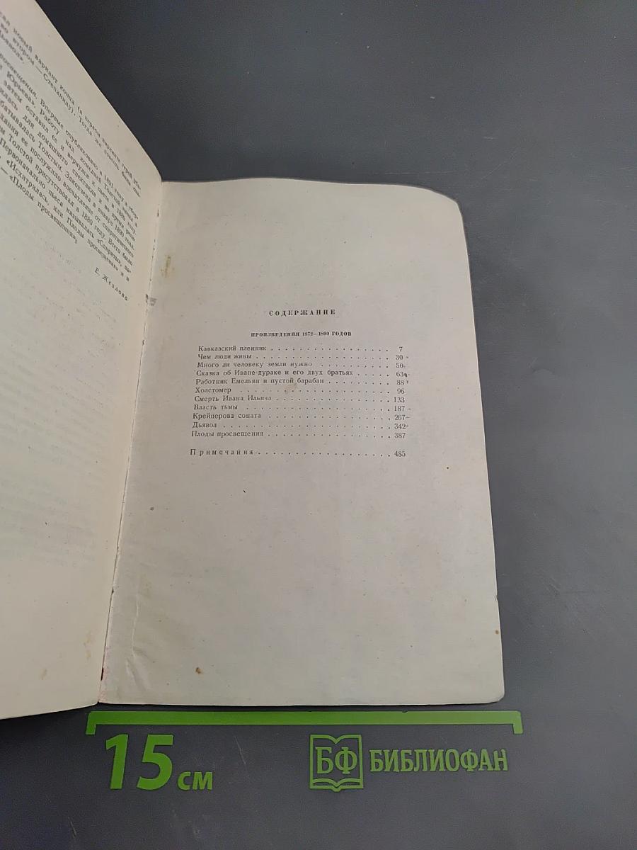 Собрание сочинений. Том 10. Произведения 1872-1890 годов