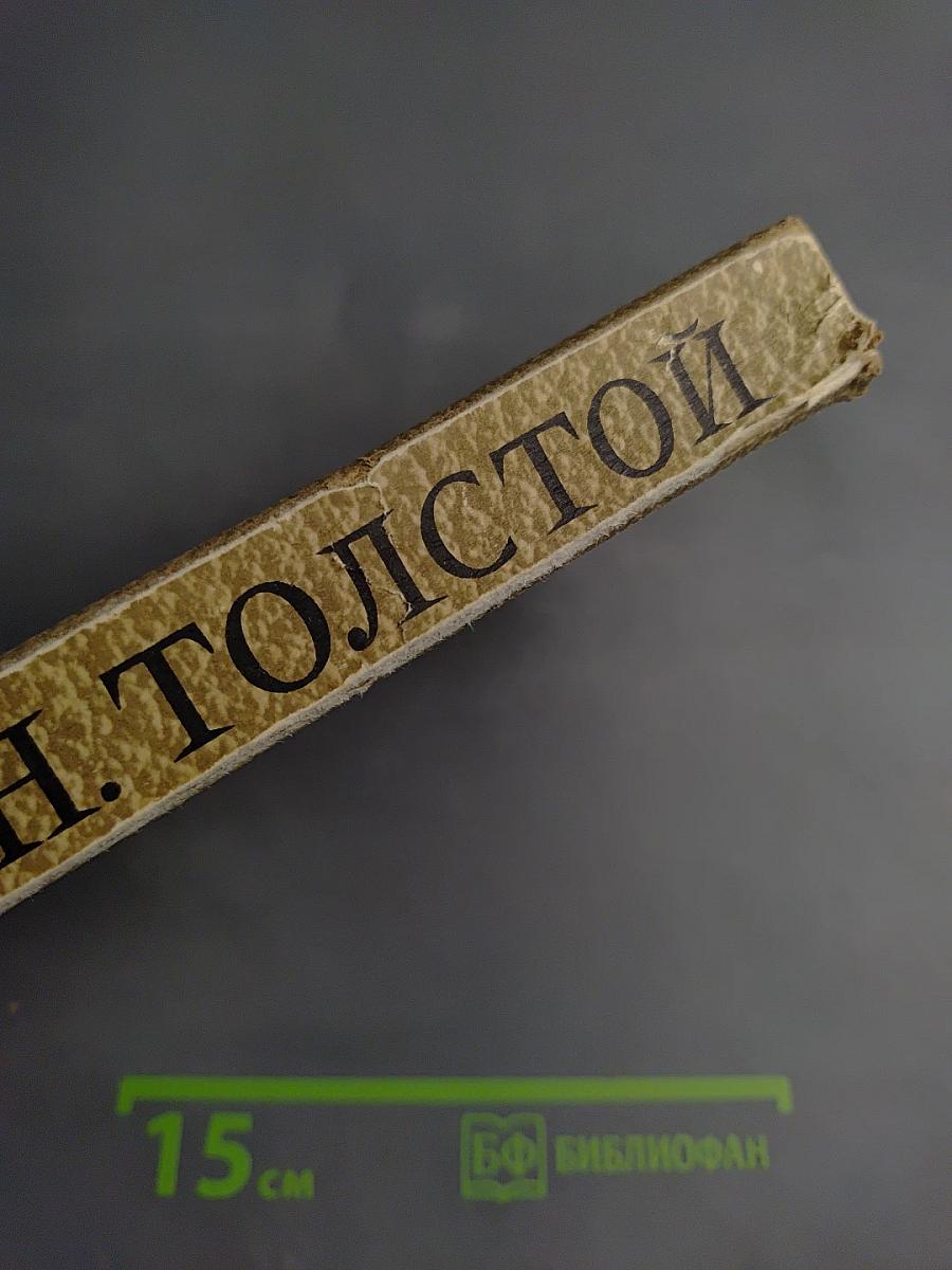 Собрание сочинений. Том 10. Произведения 1872-1890 годов