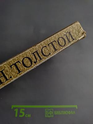 Собрание сочинений. Том 10. Произведения 1872-1890 годов