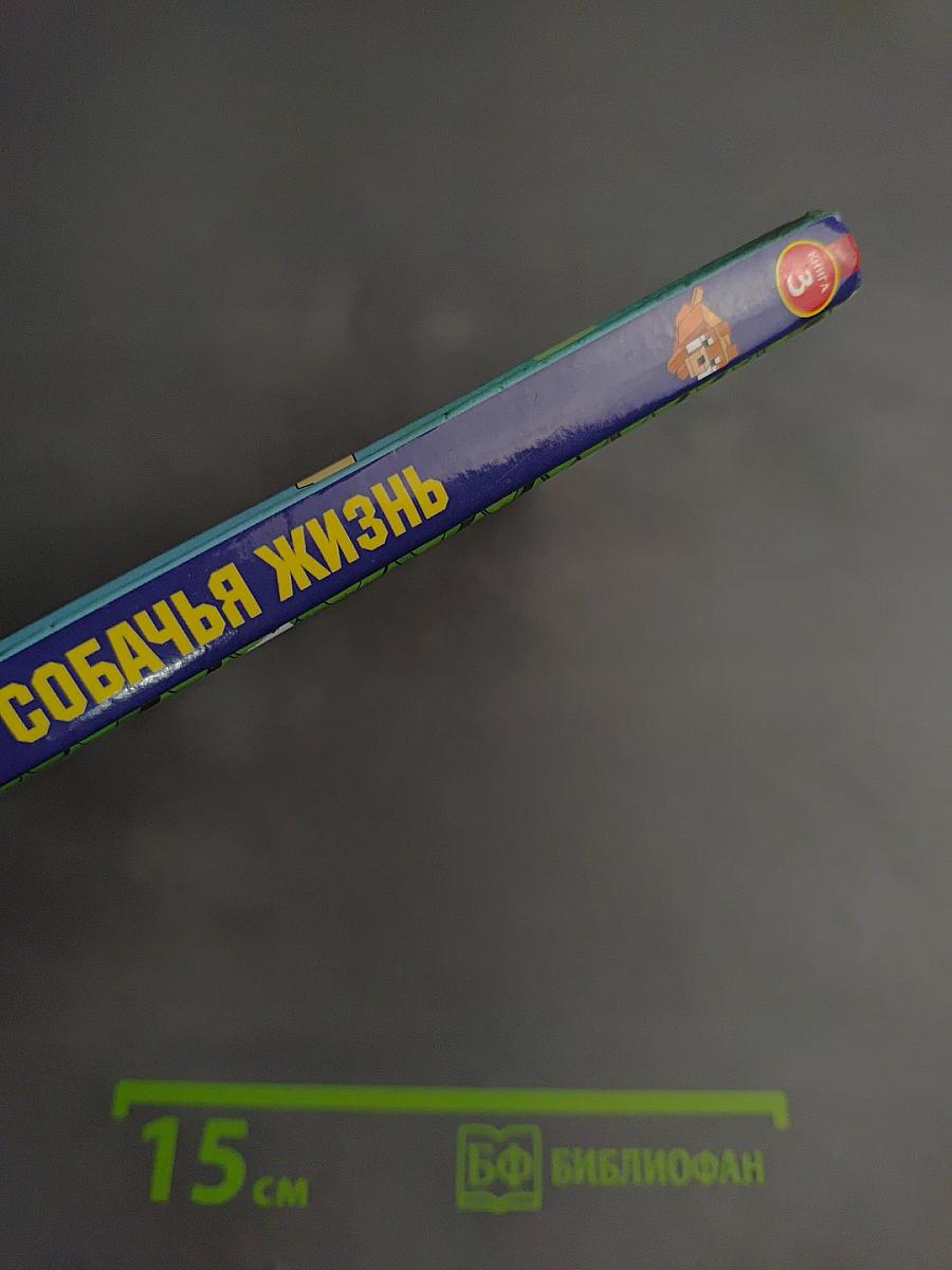 Дневник Стива. Собачья жизнь. Книга 3