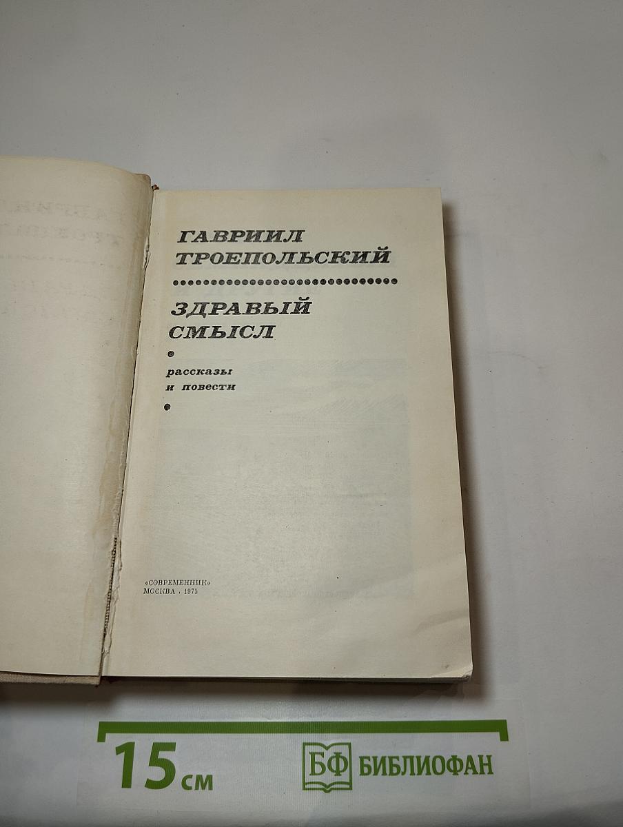 Здравый смысл