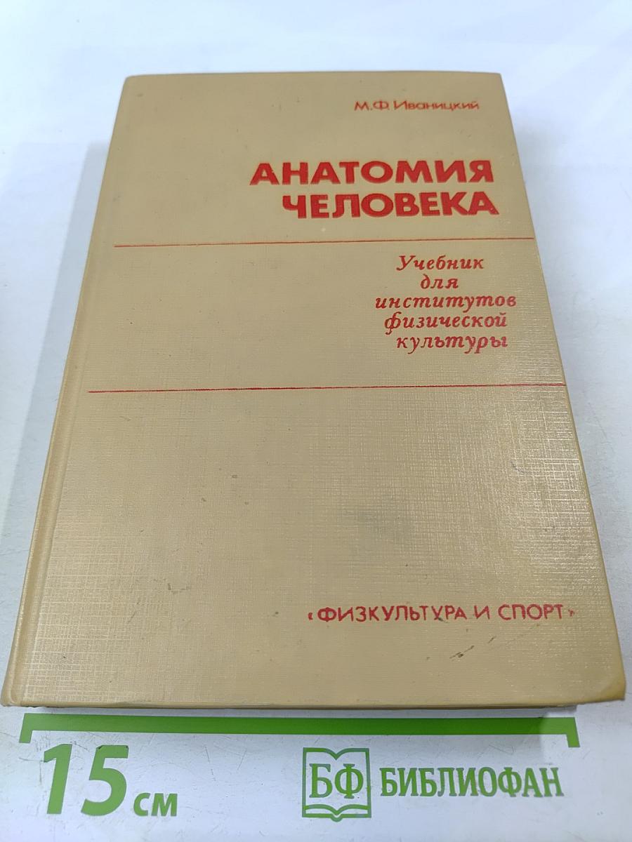 Анатомия человека