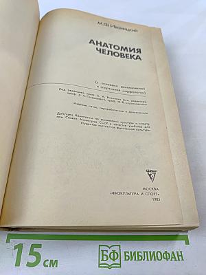 Анатомия человека