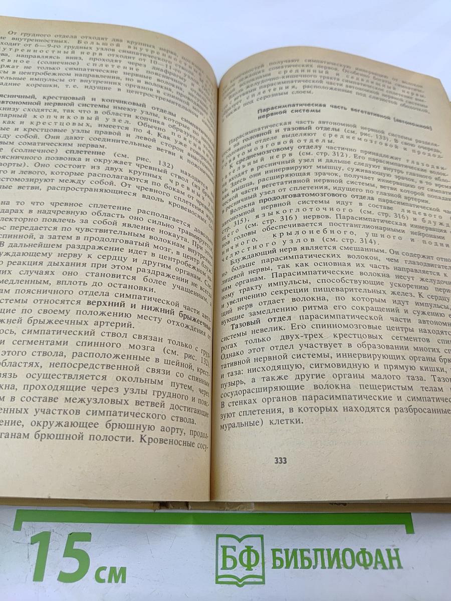 Анатомия человека