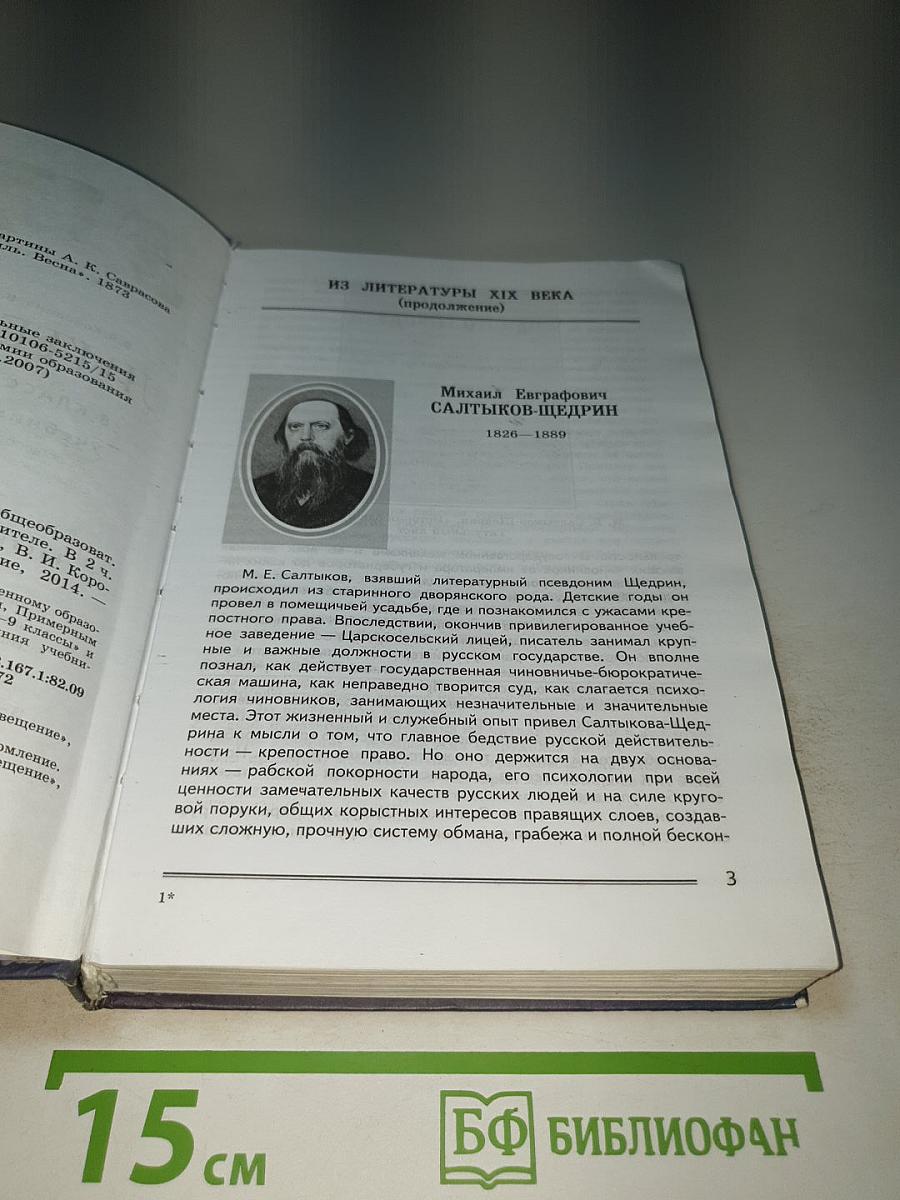 Литература. 8 класс. Часть 2