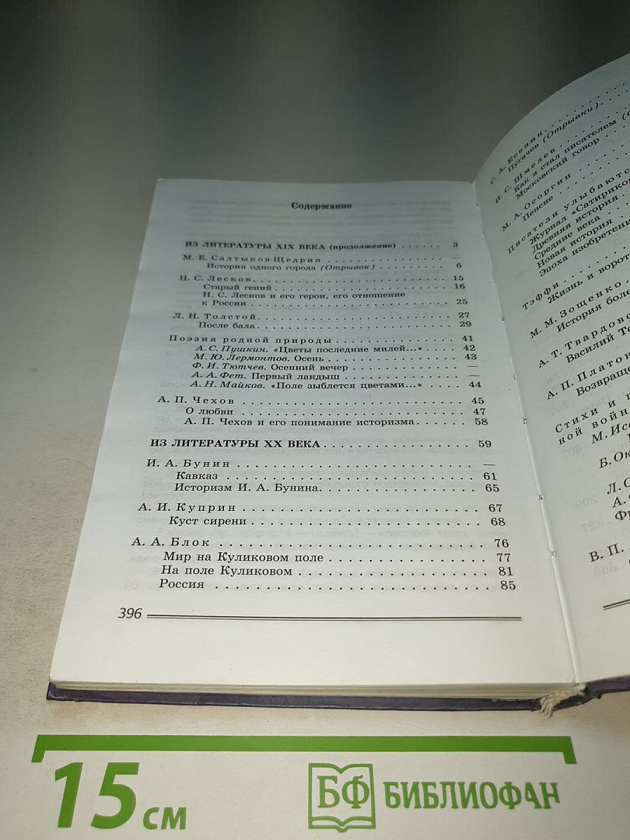 Литература. 8 класс. Часть 2