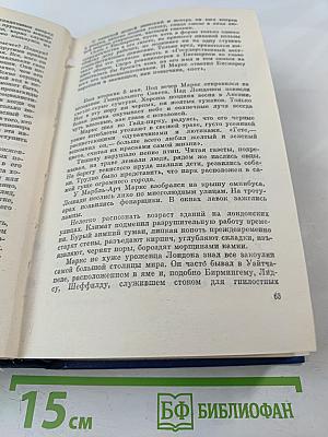 Собрание сочинений. Том 4: Вершины жизни, Предшествие