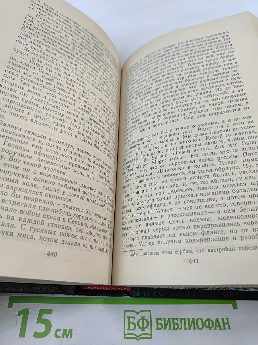 Похождения бравого солдата Швейка