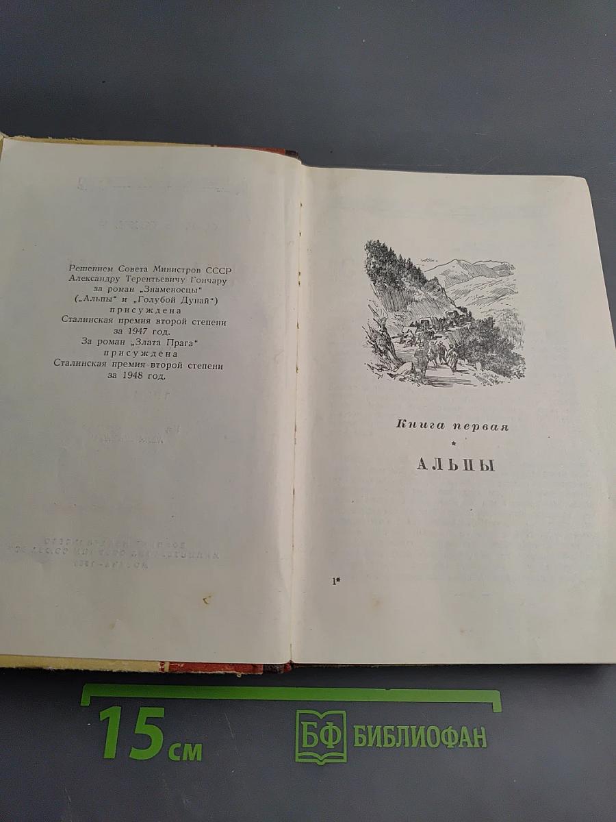 Знаменосцы