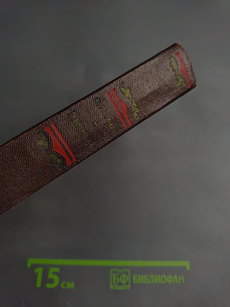 Знаменосцы