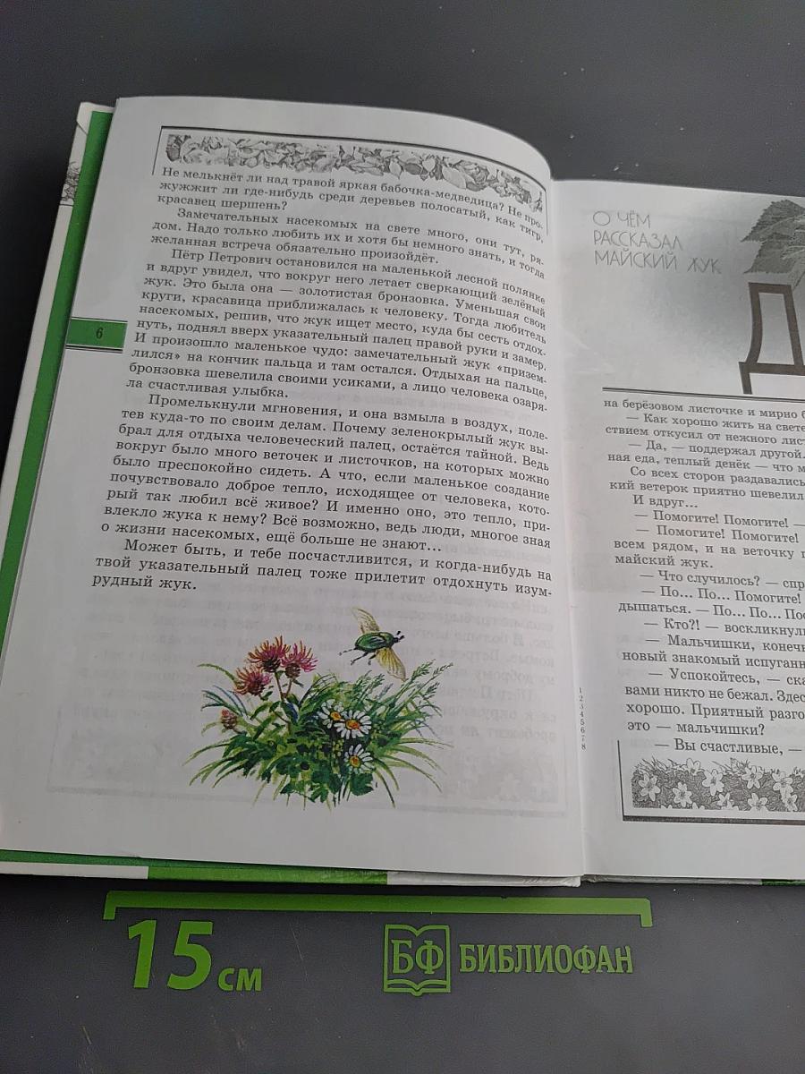 Зеленый дом. Великан на поляне, или Первые уроки экологической этики для начальных классов