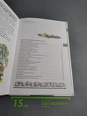 Зеленый дом. Великан на поляне, или Первые уроки экологической этики для начальных классов