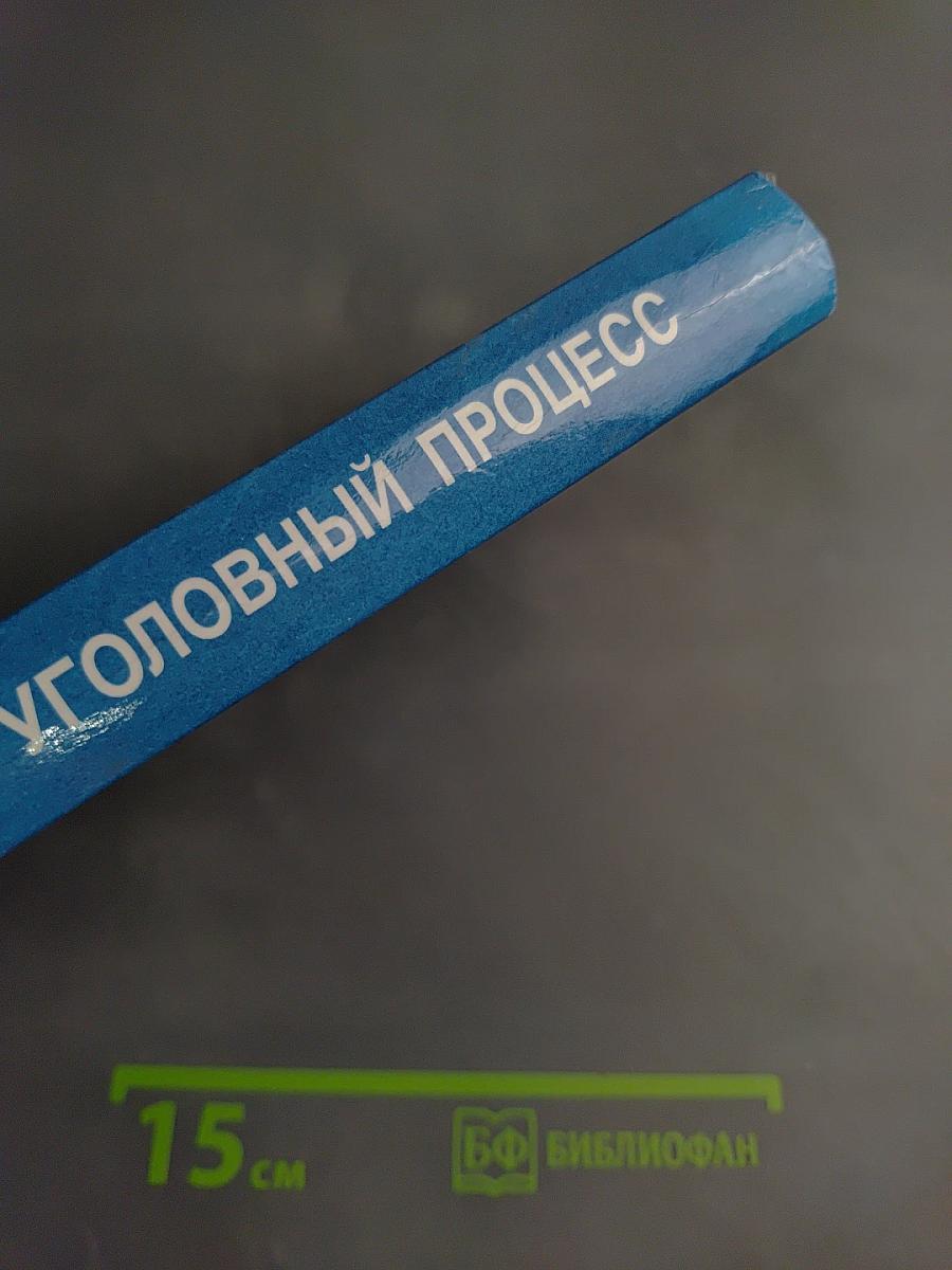 Уголовный процесс