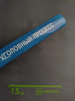 Уголовный процесс