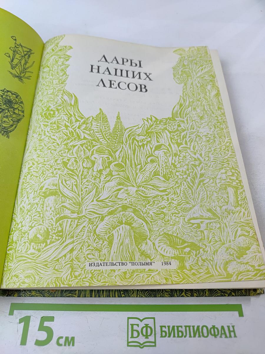 Дары наших лесов