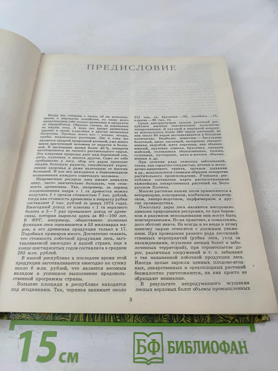 Дары наших лесов