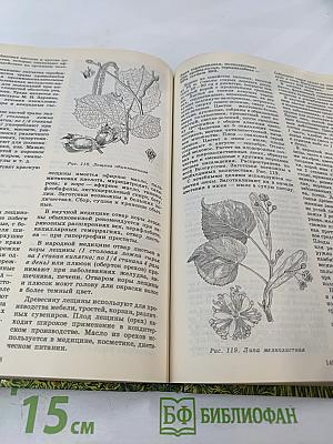 Дары наших лесов