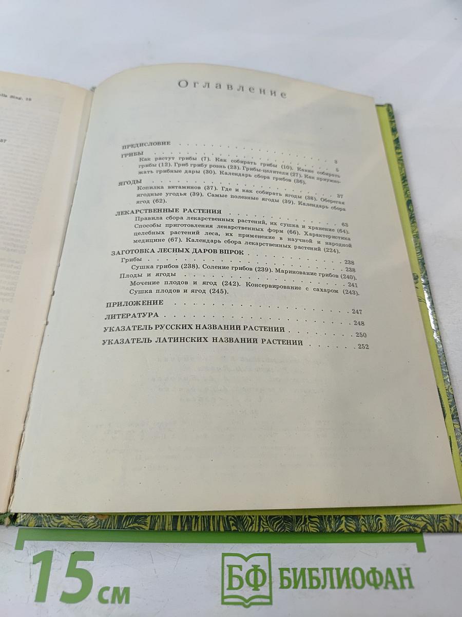 Дары наших лесов