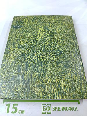 Дары наших лесов