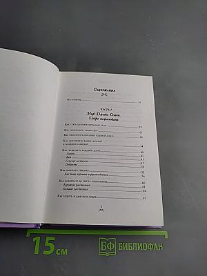 Как поступила бы Джейн: Этикет для истинных леди в эпоху Инстаграма