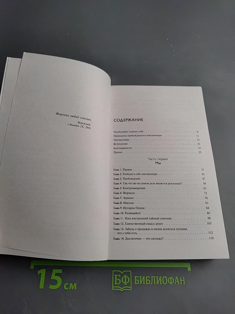 Разбуди в себе миллионера. Манифест богатства и процветания