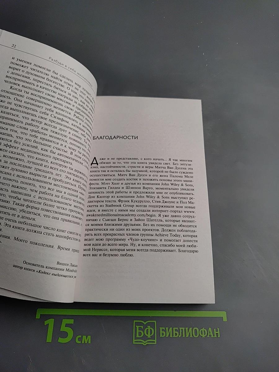 Разбуди в себе миллионера. Манифест богатства и процветания