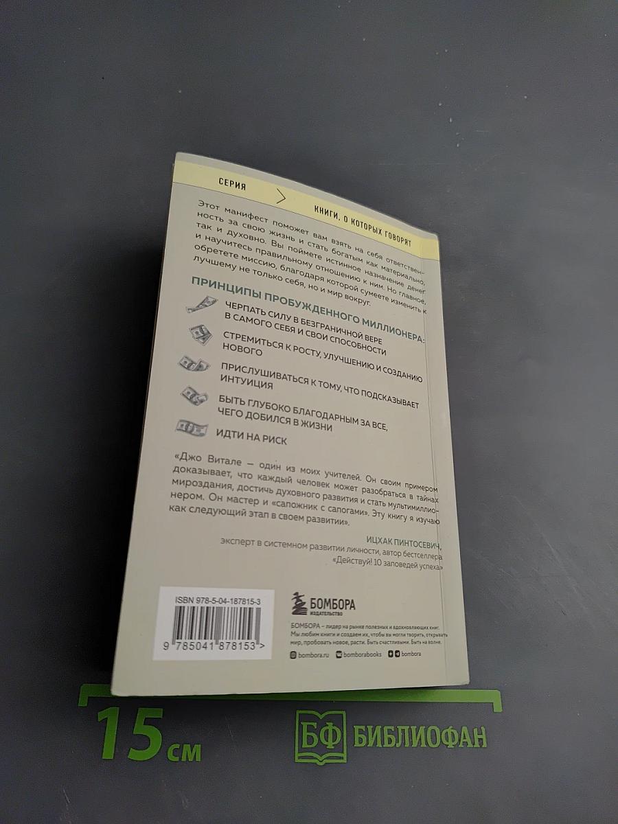 Разбуди в себе миллионера. Манифест богатства и процветания