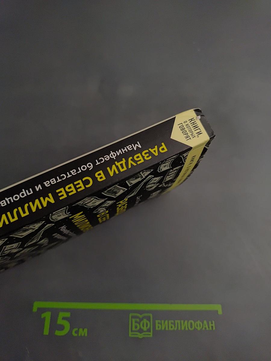 Разбуди в себе миллионера. Манифест богатства и процветания