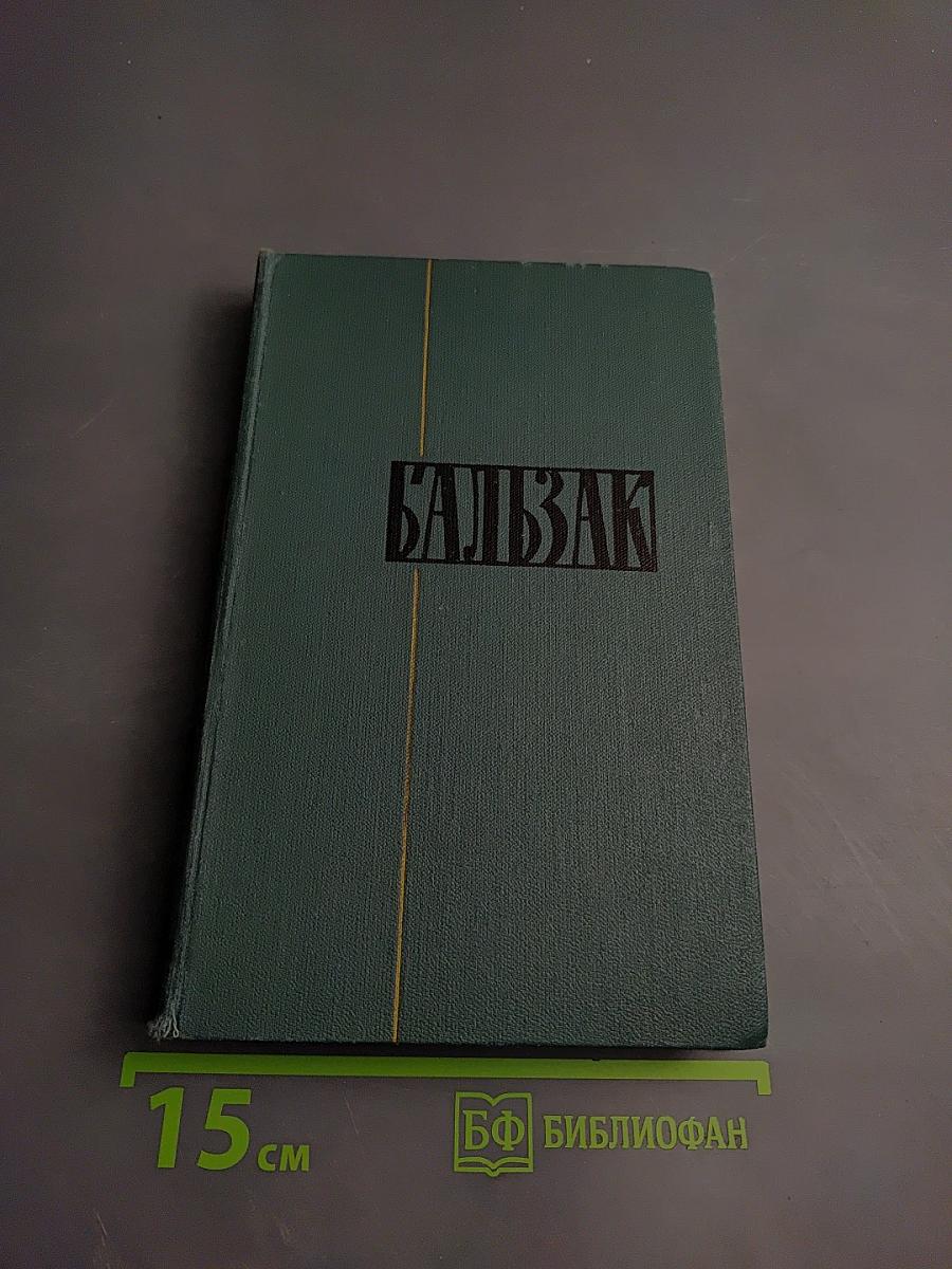 Человеческая комедия. Том 19