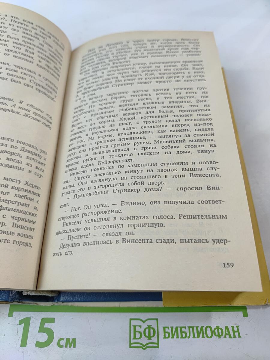 Жажда жизни: Книга о Ван Гоге