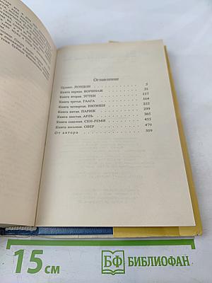 Жажда жизни: Книга о Ван Гоге