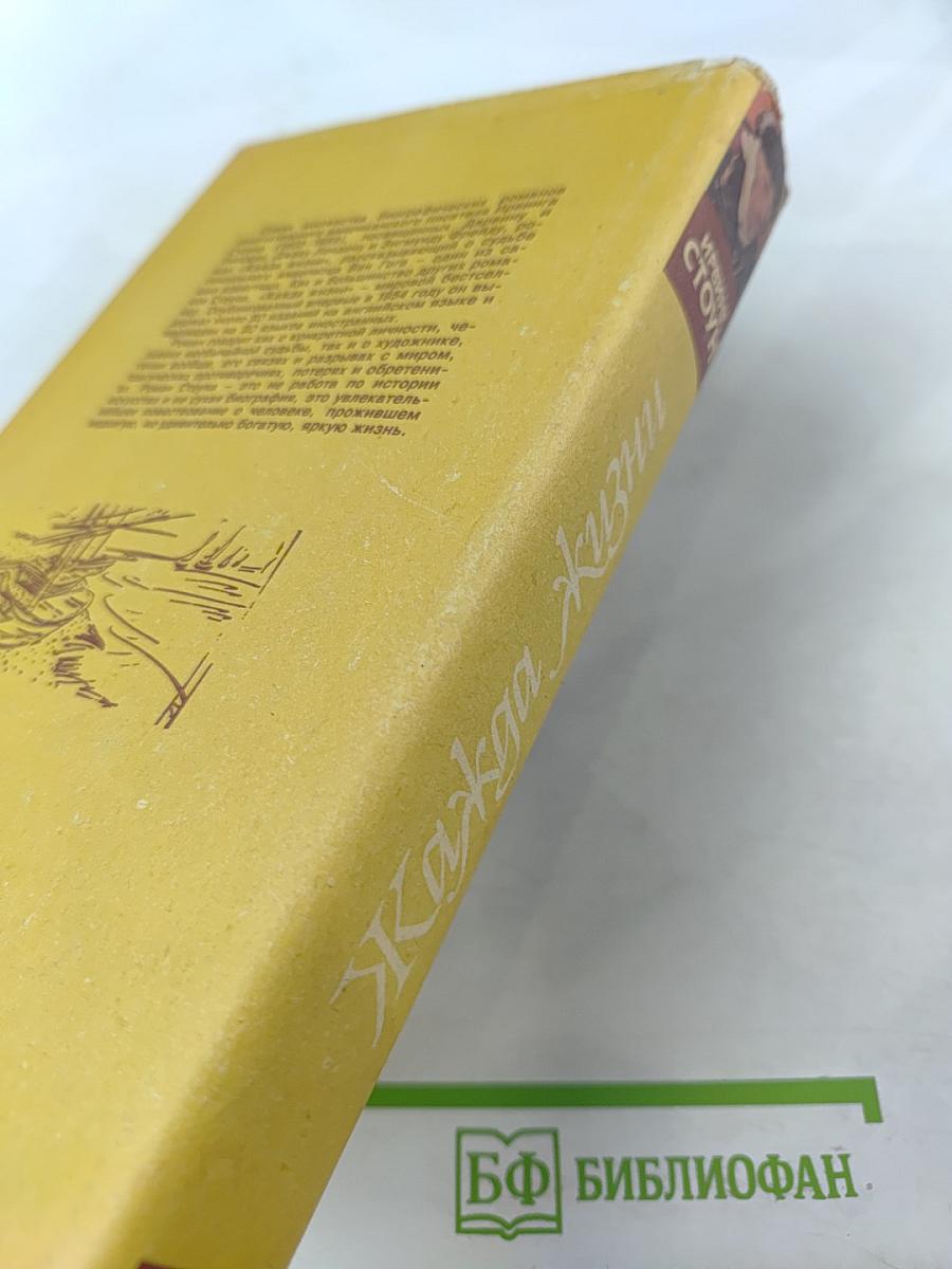 Жажда жизни: Книга о Ван Гоге