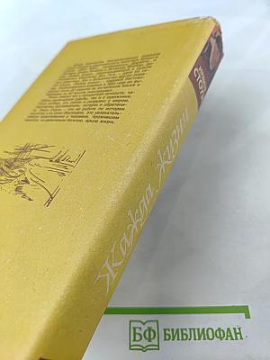 Жажда жизни: Книга о Ван Гоге