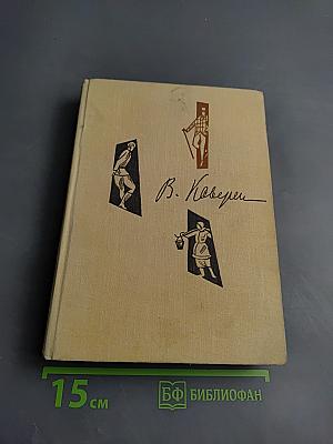 Собрание сочинений. Том четвертый: Открытая книга, Юность, Поиски