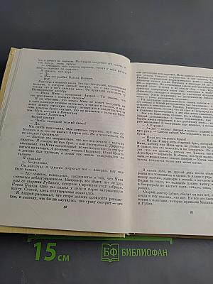 Собрание сочинений. Том четвертый: Открытая книга, Юность, Поиски