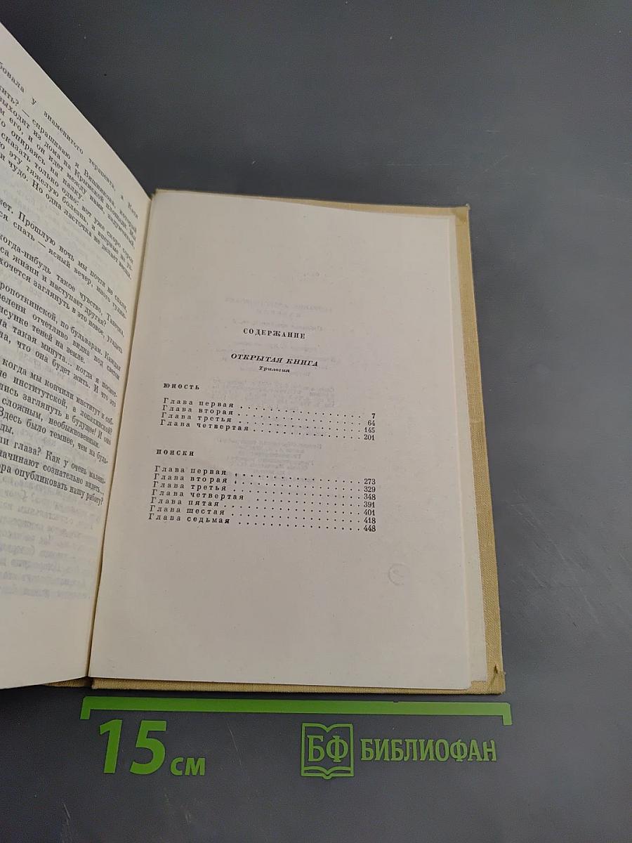 Собрание сочинений. Том четвертый: Открытая книга, Юность, Поиски