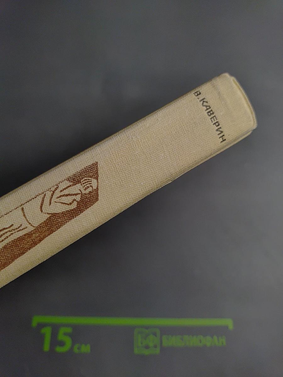 Собрание сочинений. Том четвертый: Открытая книга, Юность, Поиски