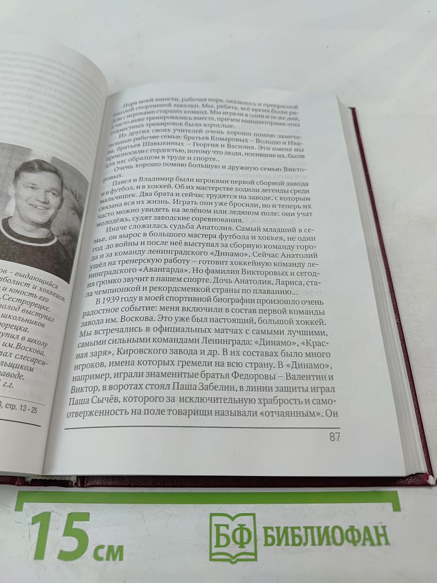 Непокорённый рубеж. Том I. Родина в опасности